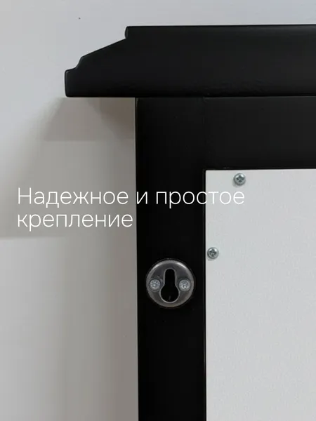 Изображение товара Зеркало Dipriz Джоли / Д.68031.1 (береза/грунт/черная краска)