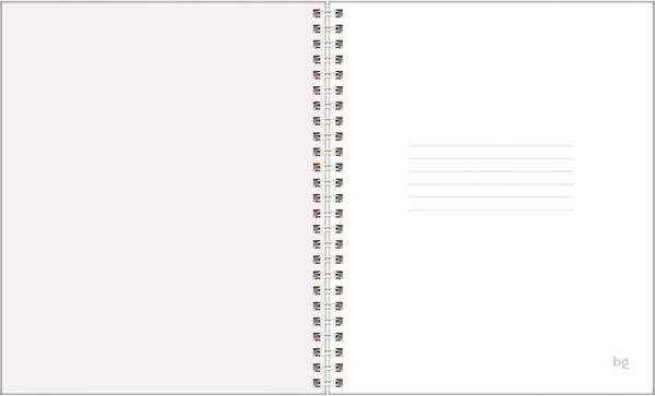 Изображение товара Тетрадь BG Цитаты / ТТ5гр120_лм 67198 (120л)