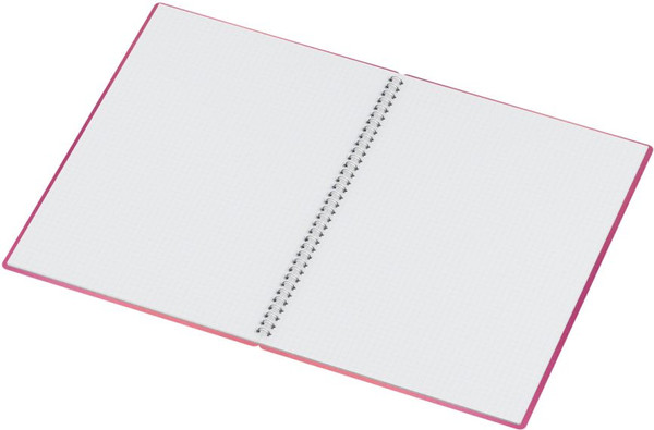 Изображение товара Тетрадь BG Сияние / Т4гр80_пл 57816 (80л)