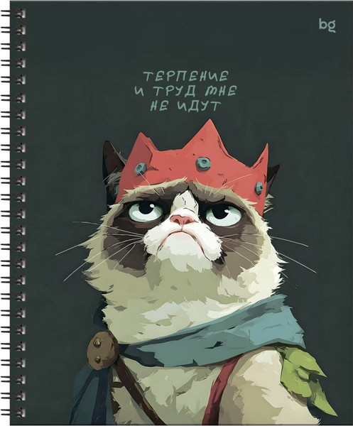 Изображение товара Тетрадь BG Не царское дело / ТТ5гр80_лг 67194 (80л)