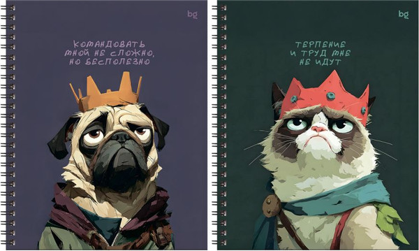 Изображение товара Тетрадь BG Не царское дело / ТТ5гр80_лг 67194 (80л)