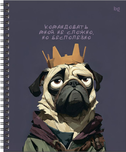Изображение товара Тетрадь BG Не царское дело / ТТ5гр80_лг 67194 (80л)