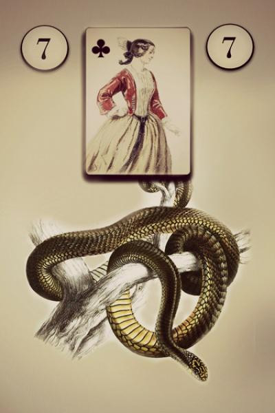 Изображение товара Гадальные карты Schiffer Publishing Lenormand Oracle Cards / SP003