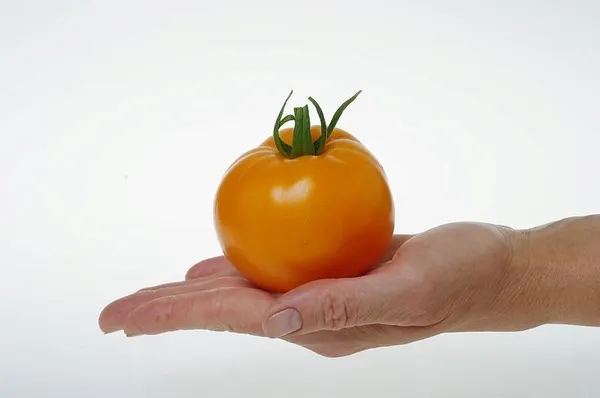 Изображение товара Семена Агрофирма Партнер Томат Сувенир F1 (10шт)