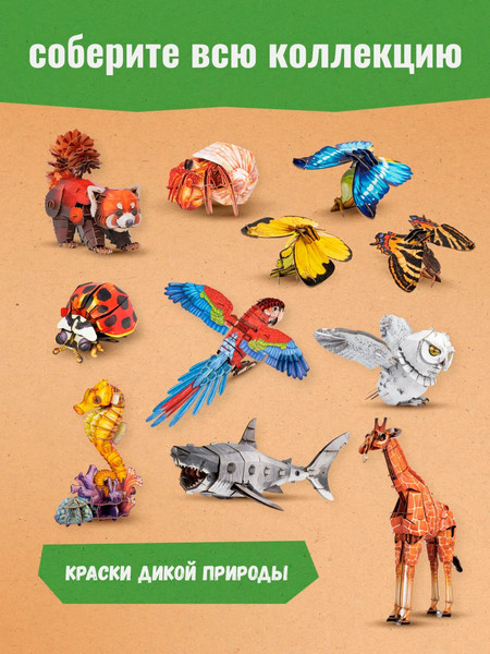Изображение товара Конструктор Makebug Bring Nature Home Бабочка Парусник / MB-C-0006