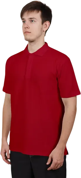 Изображение товара Футболка Sardoba Tekstil Поло (p.4XL, бордовый)