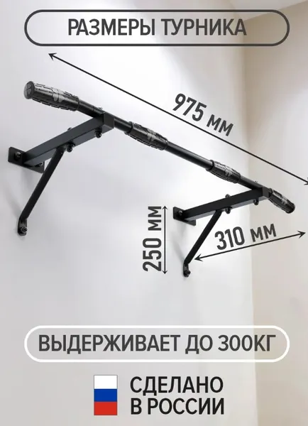 Изображение товара Турник Absolute Champion Лайт Актив №1 / АЧ 14665