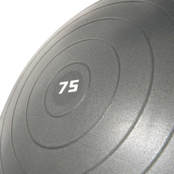 Изображение товара Фитбол гладкий Torres FB122575 (серый)