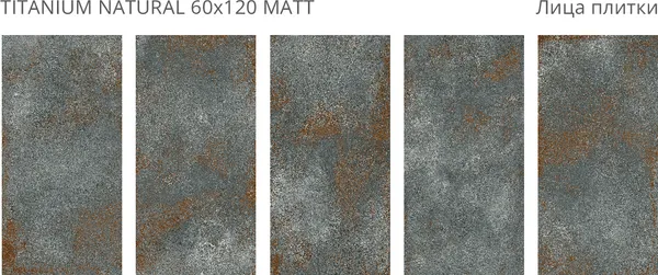 Изображение товара Плитка Staro Titanium Natural Matt 99955582 (600x1200)