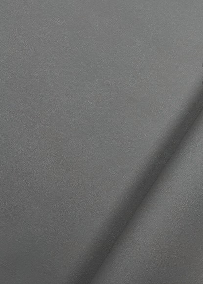 Изображение товара Виниловые обои Casa Alpina ТФ-11-299-02