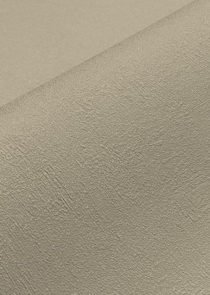 Изображение товара Виниловые обои Casa Alpina ТФ-11-299-03