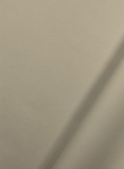 Изображение товара Виниловые обои Casa Alpina ТФ-11-299-03