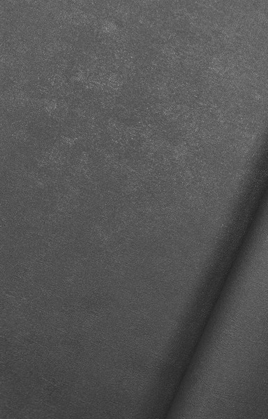 Изображение товара Виниловые обои Casa Alpina ТФ-11-302-02