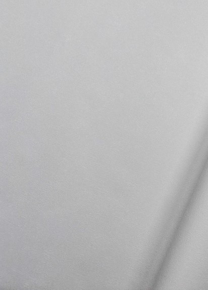 Изображение товара Виниловые обои Casa Alpina ТФ-11-302-09