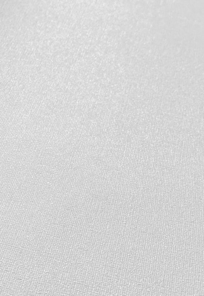 Изображение товара Виниловые обои Casa Alpina ТФ-11-304-01