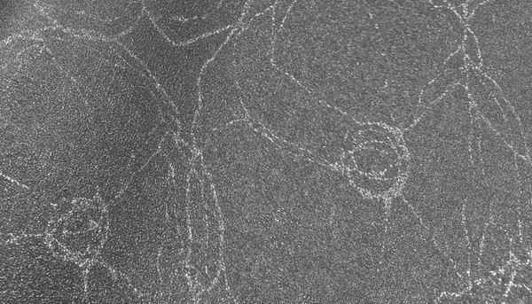 Изображение товара Виниловые обои Casa Alpina ТФ3-11-145-05