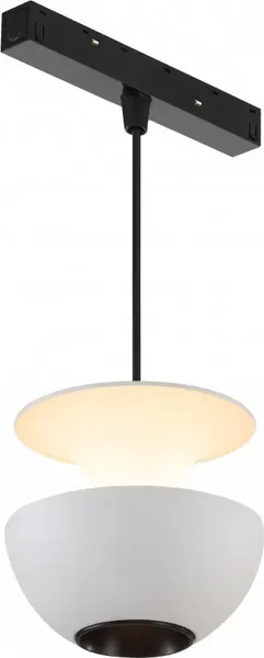 Изображение товара Трековый светильник ILedex Technical Vision Smart 4822-012-D80-6W-38DG-WH