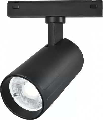 Изображение товара Трековый светильник ILedex Technical Vision 4825-048-D70-20W-36DG-3000K-BK