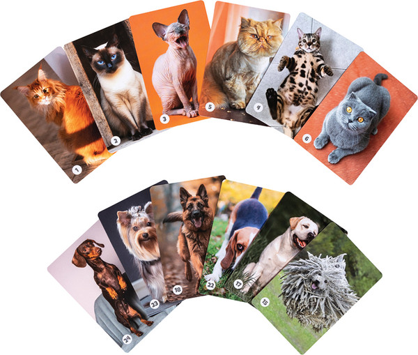 Изображение товара Настольная игра Десятое королевство Мемо Кошечки-собачки / 05996