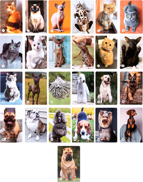 Изображение товара Настольная игра Десятое королевство Мемо Кошечки-собачки / 05996