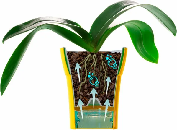 Изображение товара Кашпо Santino Dali-Dea DDEA125WHT/BL (оливковый-серый)