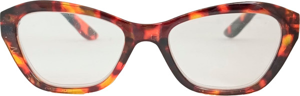 Изображение товара Готовые очки WDL Read p722 +1.00