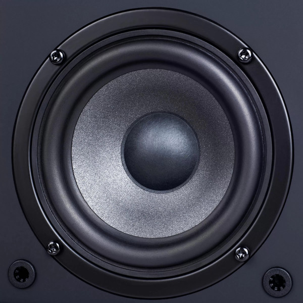 Изображение товара Мультимедиа акустика Radiotehnika S-10NA (черный)