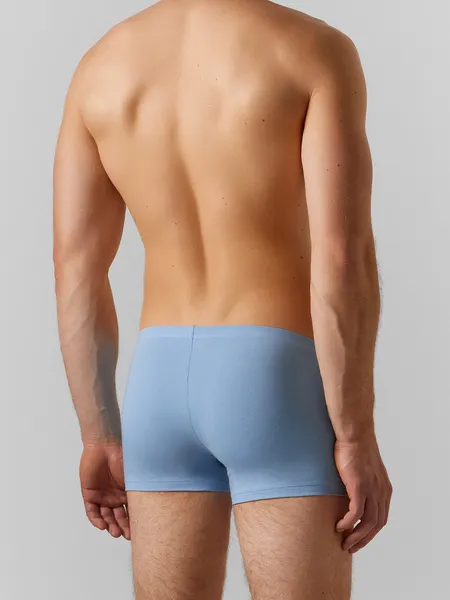 Изображение товара Трусы мужские Mark Formelle 411122 (р.78-88, пыльно-голубой)