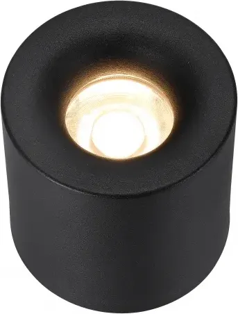 Изображение товара Точечный светильник ILedex Technical Metrica 108-7W-D80-3000K-24DG-BK