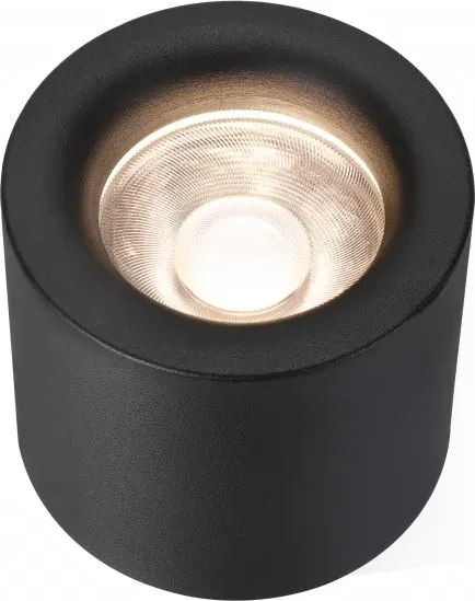 Изображение товара Точечный светильник ILedex Technical Metrica 113-12W-D100-3000K-24DG-BK