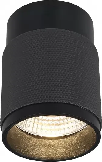 Изображение товара Точечный светильник ILedex Technical Delta 1955-10W-3000K-36 BK+GRP