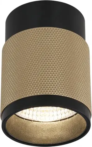 Изображение товара Точечный светильник ILedex Technical Delta 1955-10W-3000K-36 BK+BR