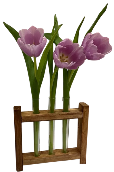 Изображение товара Ваза KraftHouse С 3 колбами / 2039533627130 (ореховый)