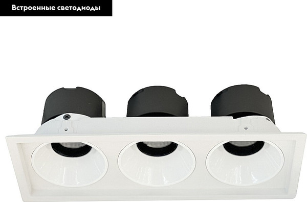 Изображение товара Точечный светильник Wertmark Dorsum WTD.O21.000.30.30