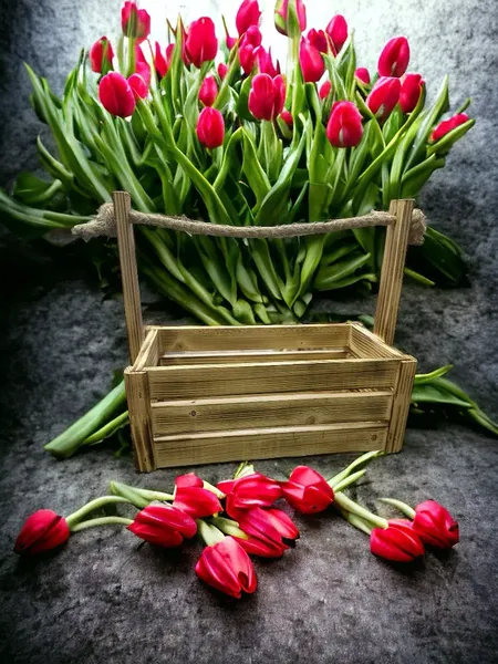 Изображение товара Ящик декоративный KraftHouse С джутовой ручкой 25x15x27 / 2038465302337 (обожженный)