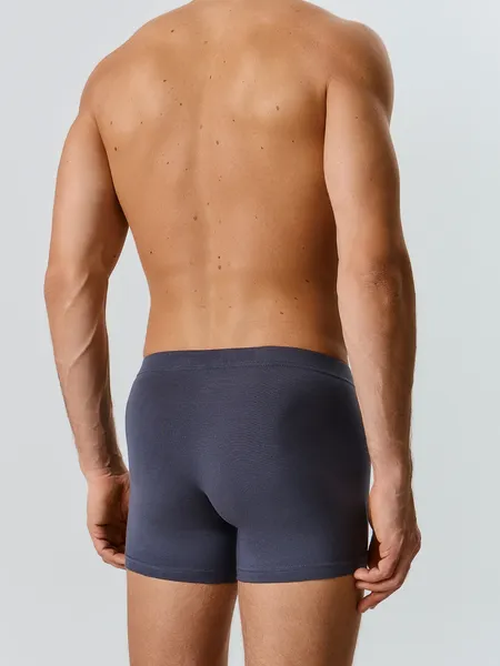 Изображение товара Трусы мужские Mark Formelle 411220 (р.102-112, графит/декор)