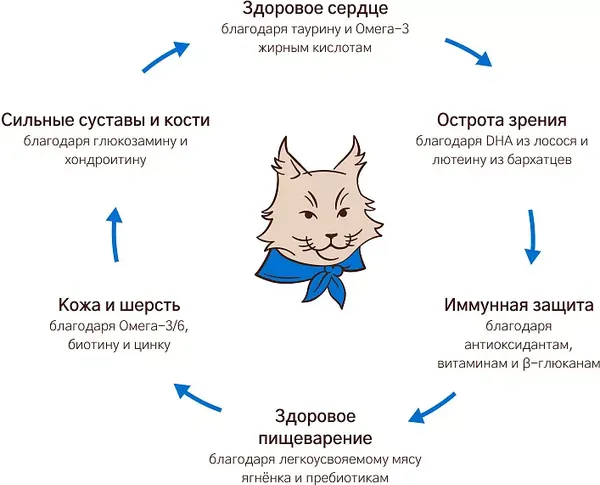Изображение товара Сухой корм для кошек MyBestie Мэйн Кун / 1970048/CAT (8кг)