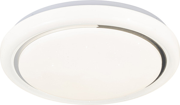 Изображение товара Потолочный светильник ESCADA 10227/SG LED APP (белый)