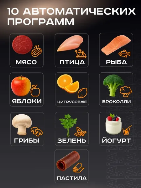 Изображение товара Сушилка для овощей и фруктов Pioneer FD212D