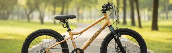 Изображение товара Велосипед Maxiscoo 5Bike 24 L 2026 / MSC-M5-2423 (оранжевый матовый, разобранный, в коробке)