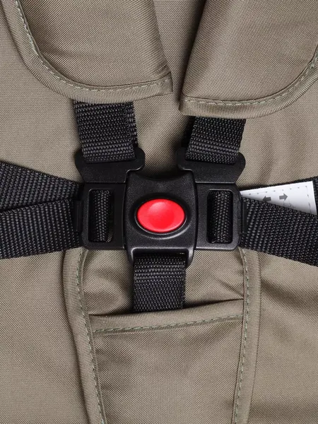 Изображение товара Детская прогулочная коляска Rant Basic Juno / RA302 (Olive)