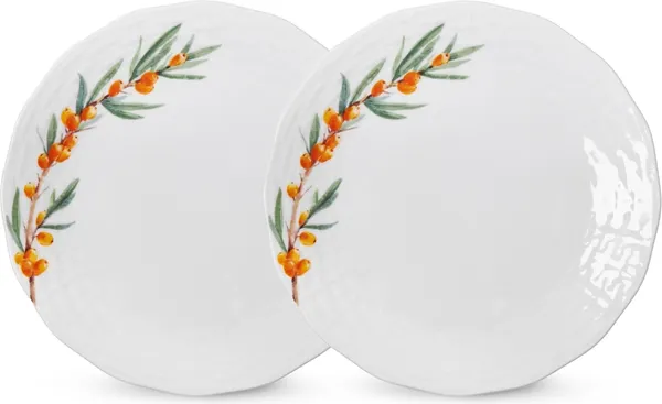 Изображение товара Набор тарелок Fissman Sea Buckthorn 13019 (2шт)