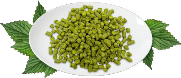 Изображение товара Хмель BRAGA.BY Nelson Sauvin (50г)