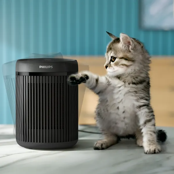 Изображение товара Тепловентилятор Philips CX2120/01