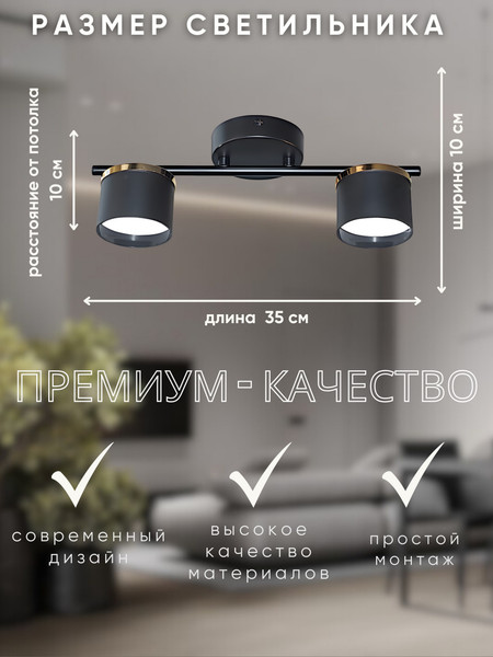 Изображение товара Потолочный светильник Aitin-Pro F60309/2 (черный/золото)