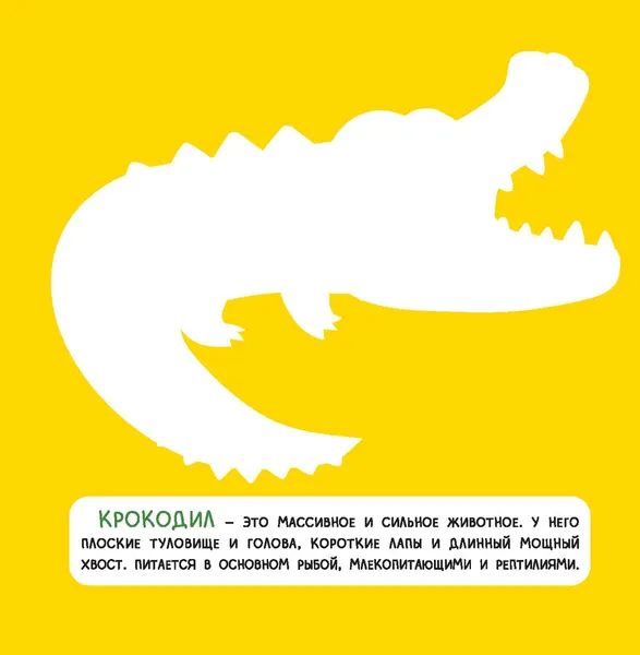 Изображение товара Развивающая книга Феникс-премьер Джунгли. Объемные аппликации, мягкая обложка