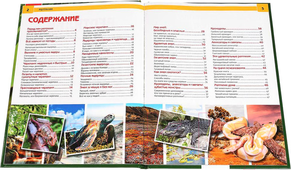 Изображение товара Энциклопедия Умка Рептилии