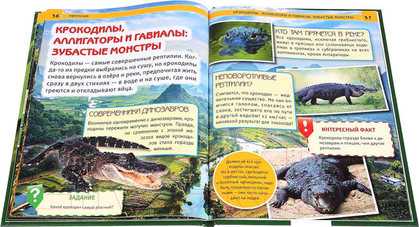 Изображение товара Энциклопедия Умка Рептилии