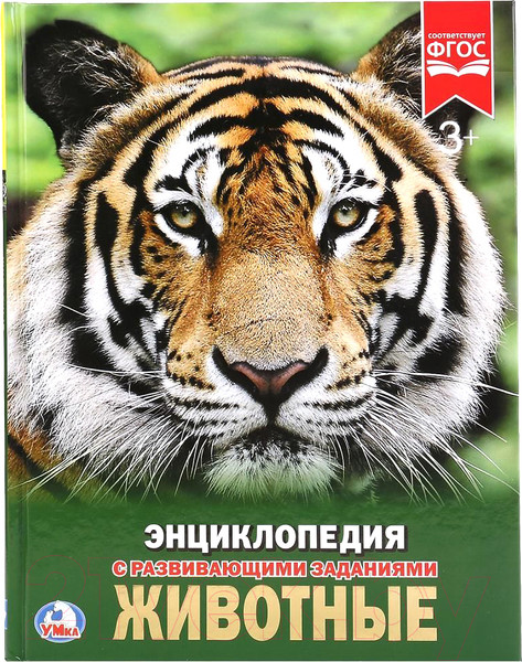 Изображение товара Энциклопедия Умка Животные