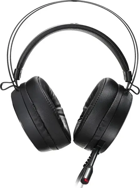 Изображение товара Наушники-гарнитура Rapoo VH500 (черный)